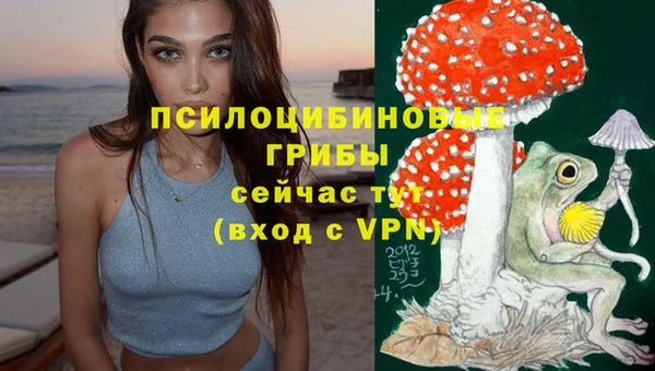 круглые Гусиноозёрск
