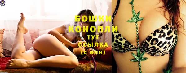 амф Горнозаводск